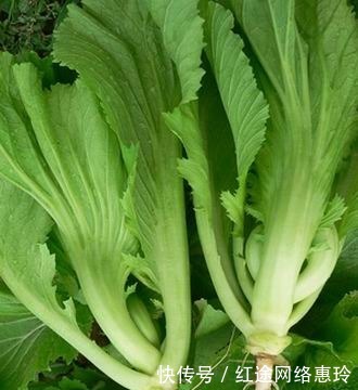 营养价值最高的十大蔬菜