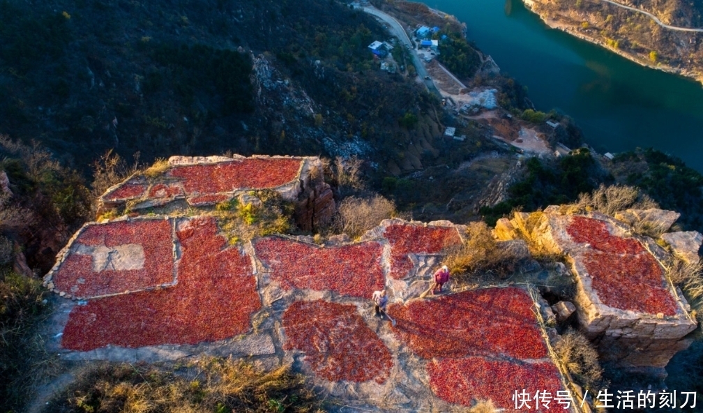 太行山原始村落犹如世外桃源，村民百米悬崖上用生命晒山楂