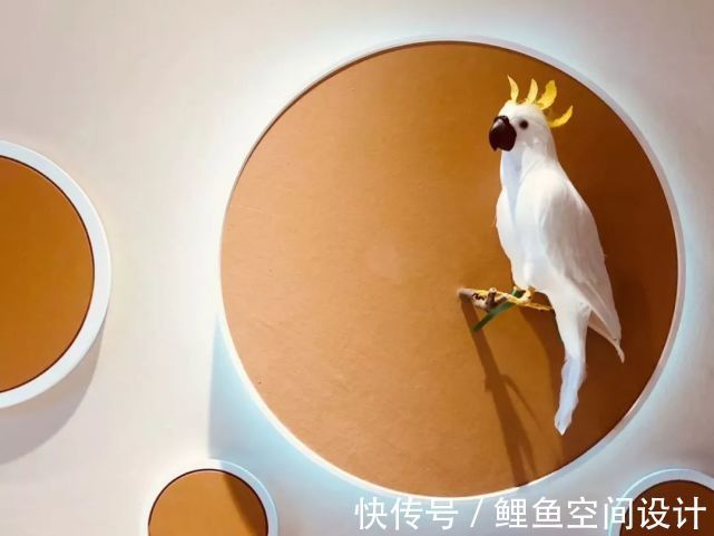 时尚|166㎡现代轻奢风,精致简约,演绎时尚都市风