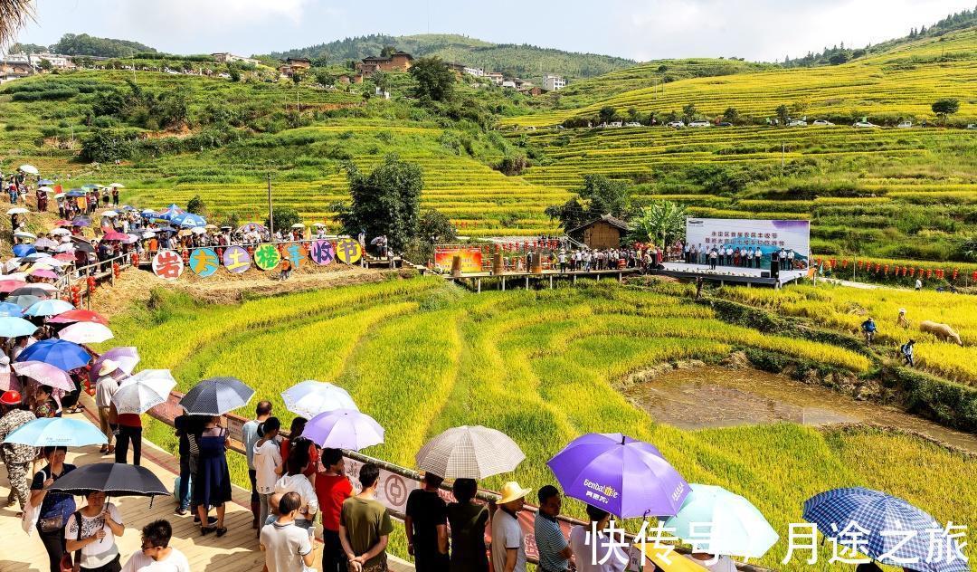 田园之乐|在千亩梯田间，看土楼雨雾缭绕，处居观景，一赏田园之乐