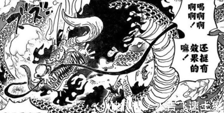 奎因|海贼王1002话解读索隆的弱点暴露了,大妈变成跳梁小丑
