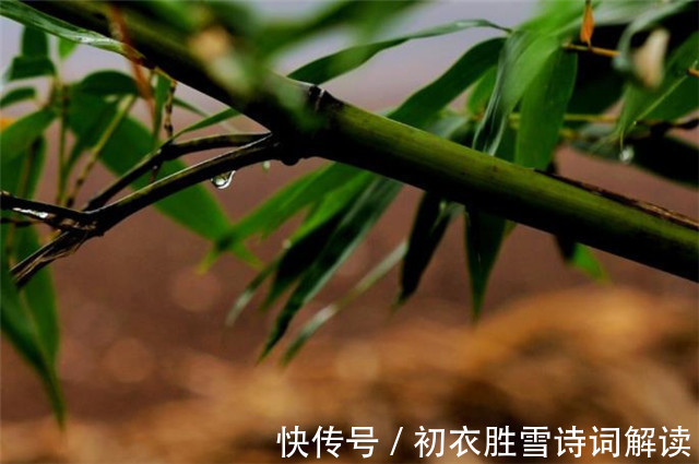 秋来!早秋秋雨美诗五首赏读:江湖经一雨,日月换新秋