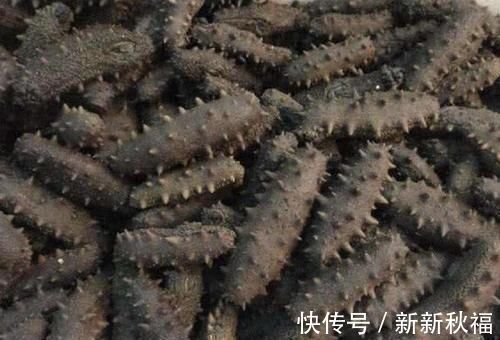 海参|女人“大姨妈”刚走，多吃3种食物，消炎排毒，卵巢给你“点赞”