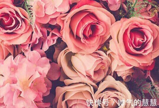 星座|有傲骨、很难讨好他人的星座,不活在世俗的眼光下,追求本心