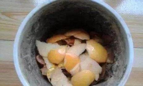不知道如何利用''旧土''那就加点料吧,保证盆栽土变肥沃