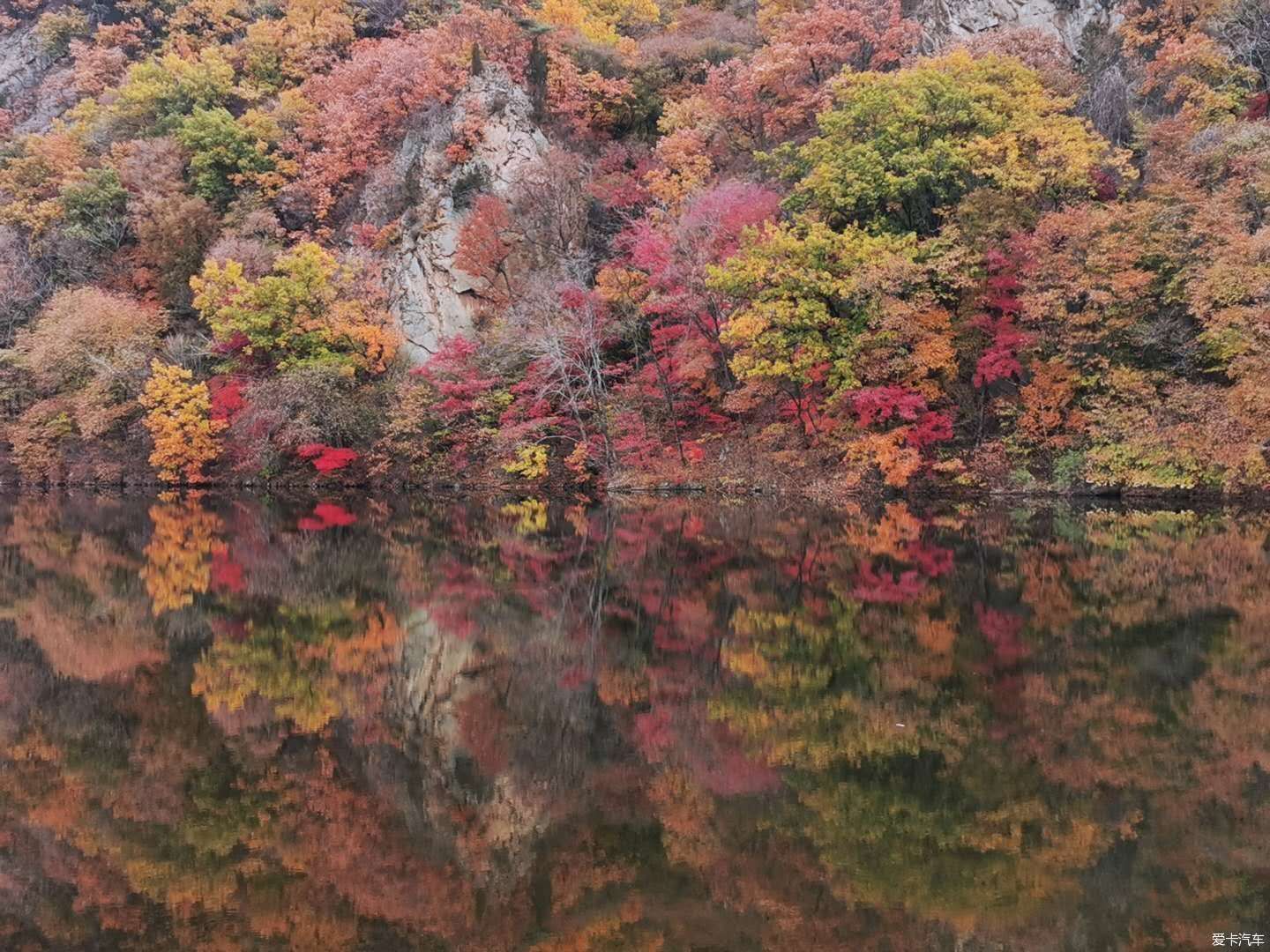 晚秋|欣赏晚秋的最后一抹色彩——关门山枫林