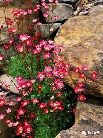  天地|方寸之间，有天地