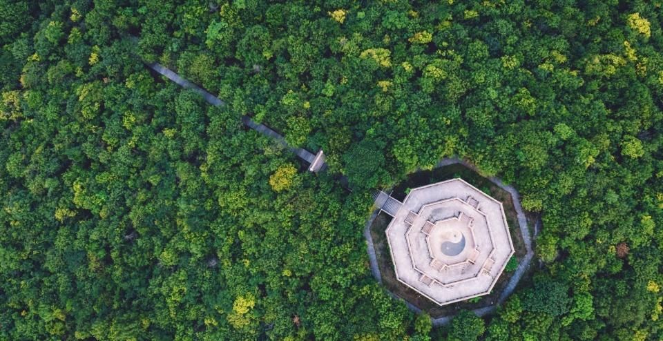 这处|这处道家之场也是天然氧吧，本地人夏日避暑胜地，知道的人不多