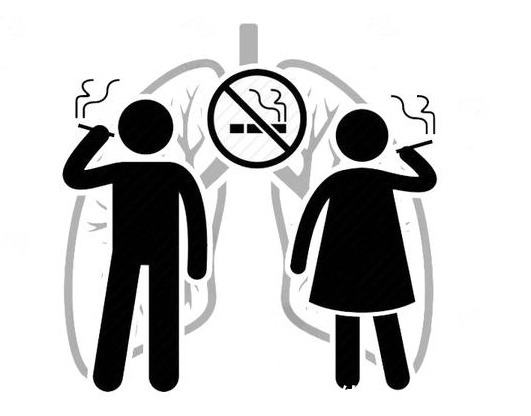 保护血管|心血管“保护伞”找到了,提醒:常吃2果2蔬,清理血管,远离血栓