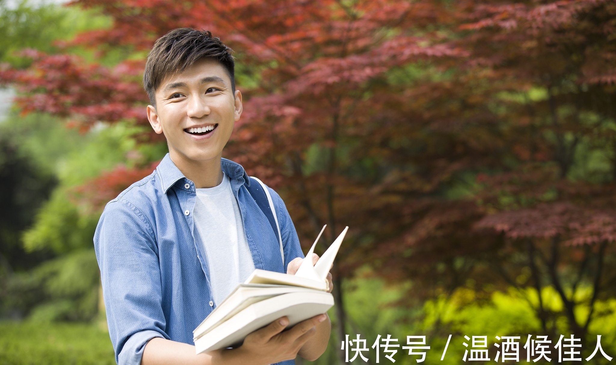 山哥|白岩松:读书,就是为读书而读书