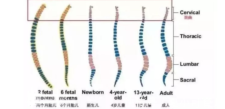 学步车|母婴店员工：店里五个坑娃产品，买了就是交智商税，踩中了几个？