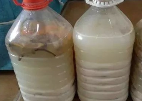 还在花钱买花肥？教你自制有机肥，不花一分钱养啥花都旺！