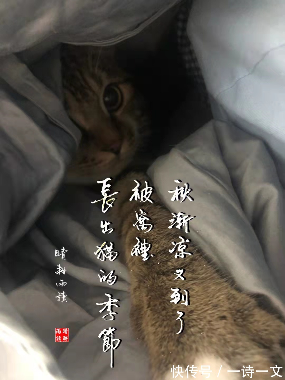 为你写诗$为你写诗,以你为题,将温柔的爱意都赠予你