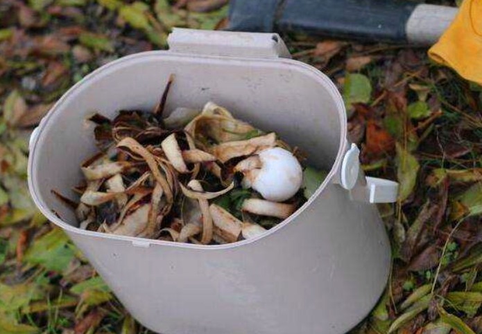 不想花钱买肥料教你1招，自己在家里堆肥，养花效果“1级棒”