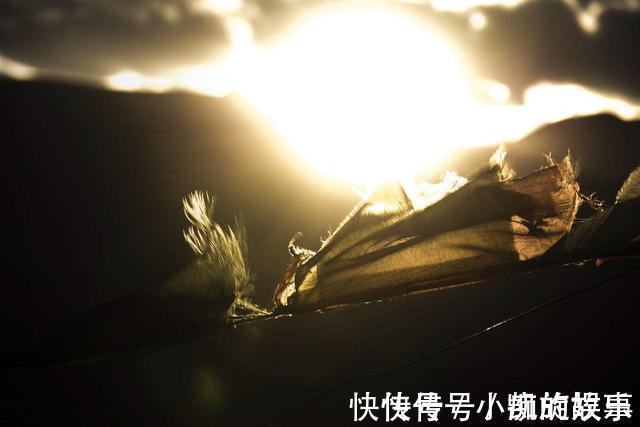 十地!这两位得道高僧, 别人不骂却专拿佛菩萨开涮