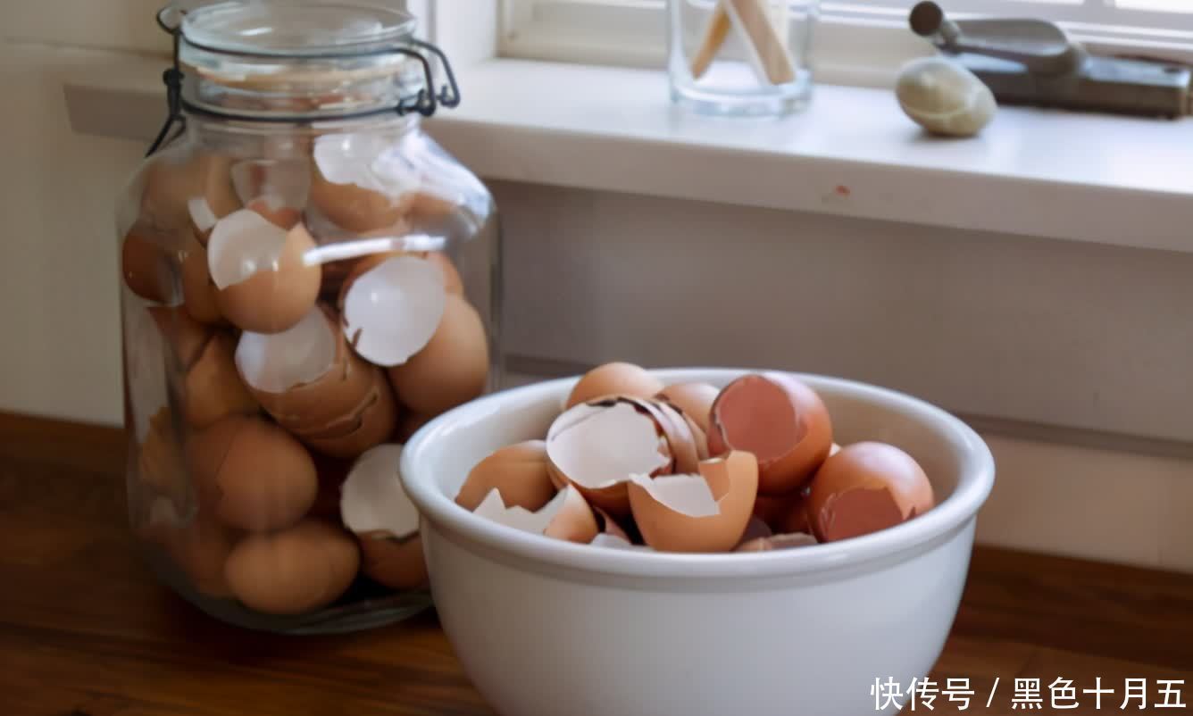 花肥|蛋壳的营养、制肥方法、养花的好处，大家知道多少？