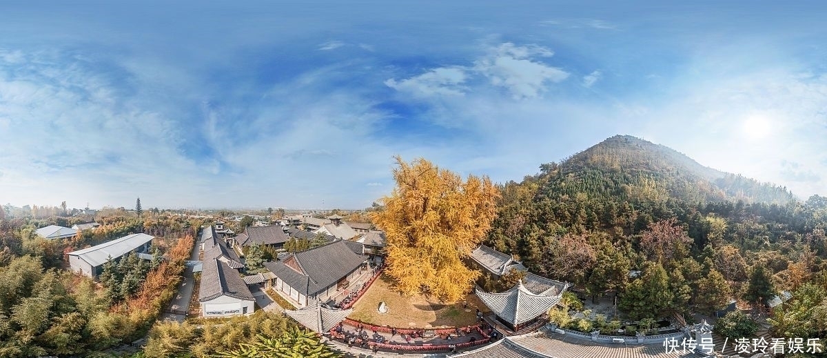 世界最“牛”的两棵树在中国,一棵惊艳了中国,一棵征服了全世界