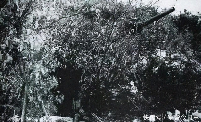 志愿军|抗美援朝是用人堆出的胜利？钢铁马良山，看志愿军高超战术能力