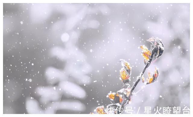 编年体通史|看懂《资治通鉴》经典11句,句句令人深思,看清世事,处世安身