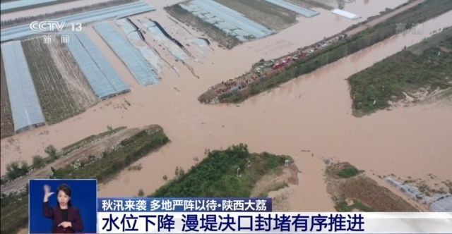洪水|封堵漫堤决口、救援被困村民……陕西、山西严阵以待防秋汛