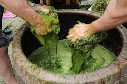 酿酒|农村水边一种野草,比辣椒还辣,常用来酿酒,用来捕甲鱼更是一绝