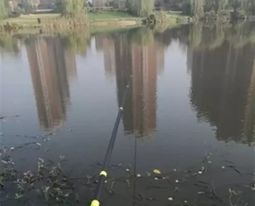 冬季鱼难钓,野钓难在哪,学会这三招冬季野钓收获满满