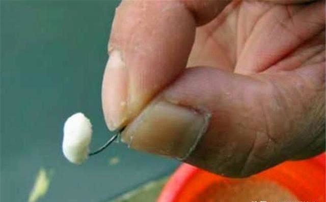 仲春钓鲫鱼，没有这些素饵搞不定的大鲫鱼，如果有，那就换一种