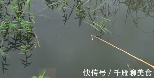 冬季|冬季钓草窝、钓冰孔,试试长竿短线空钩逗钓,不用饵也能上鲫鱼