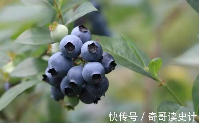 营养物质|聪明人喜欢吃的养生食物,美容养生、滋润肌肤,好吃还年轻