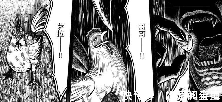 一拳超人|漫画推荐“战斗鸡”成主角,设定酷似《一拳超人》,神作预定