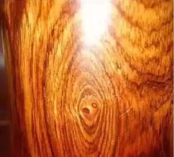 不止|冒充海黄的玩意儿,可不止紫檀柳!