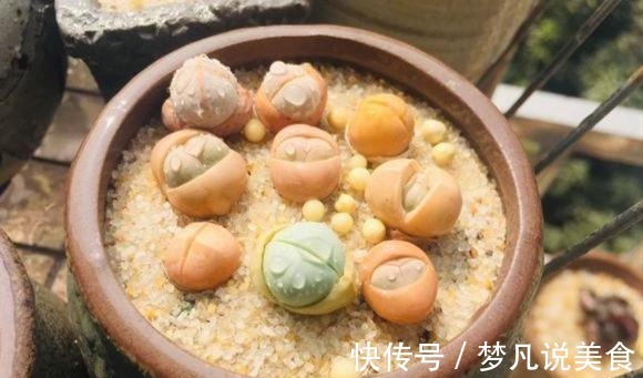 阳台养多肉不能错过的16种,全是名气大的品种,价格不贵还很美