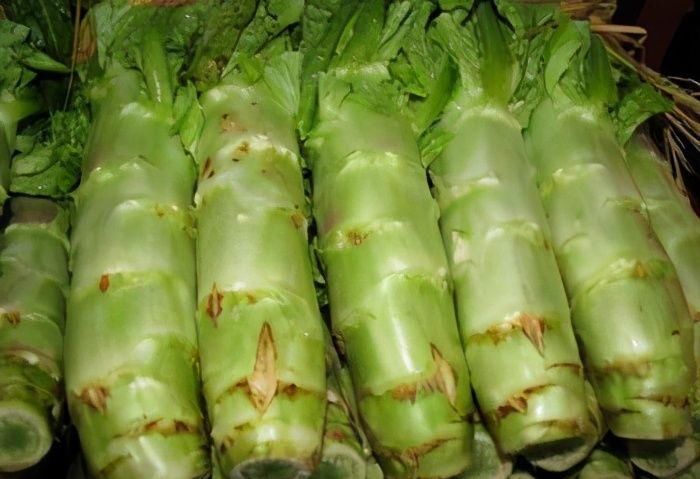  延缓|女性担心自己老太快，推荐常吃3种食物，补血养颜、延缓衰老