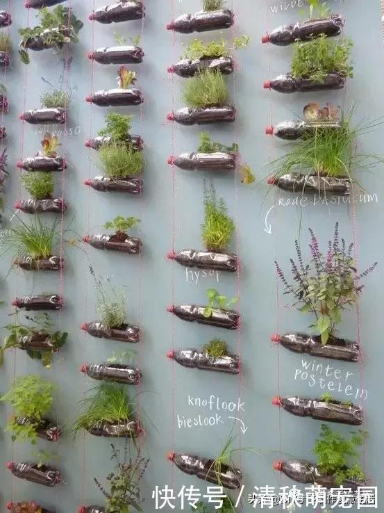 下次再有饮料瓶千万不要丢,看完这个你就明白了,附教程