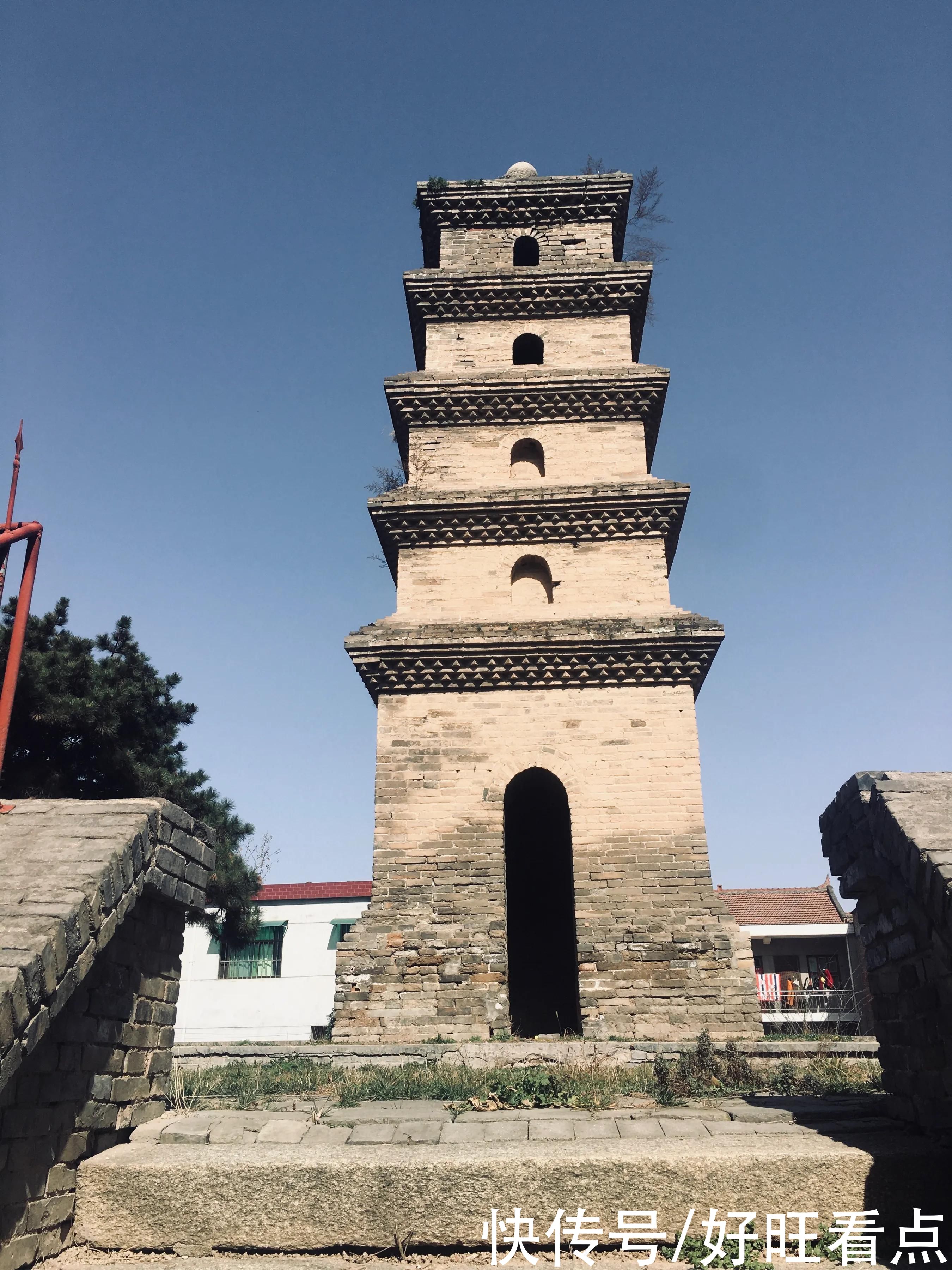 老年|古城西安香积寺：初春美景醉游人