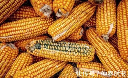 肝功能|豆浆是肝病的“发物”?建议:若想保护肝功能,4种食物尽量少碰