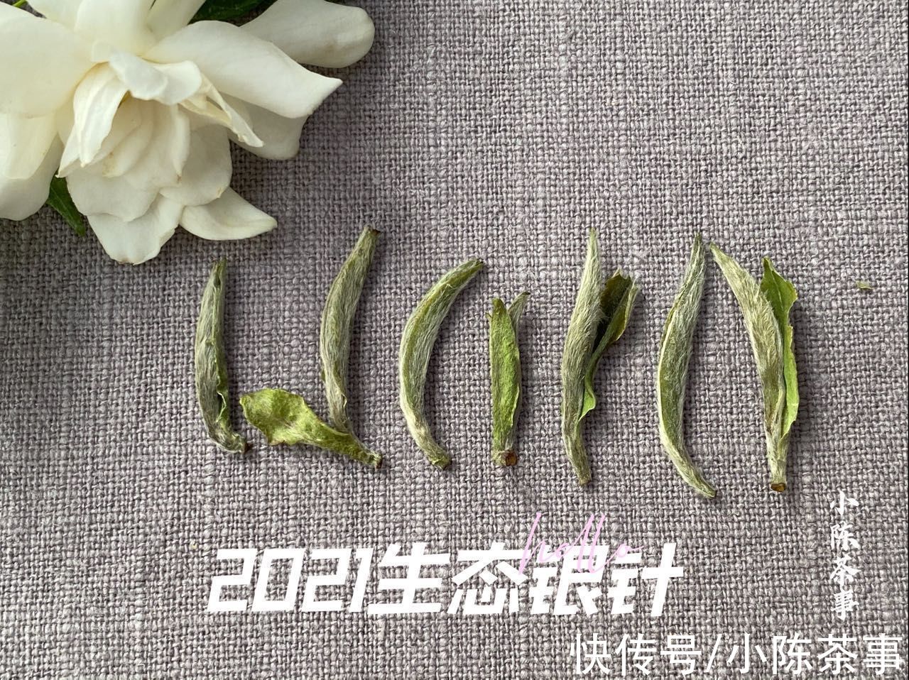 绿茶&六大茶类的划分标准，白茶、绿茶、红茶、黑茶，是靠颜色划分吗？