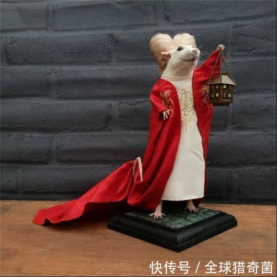 ling|35个匪夷所思的沙雕设计,简直让人哭笑不得