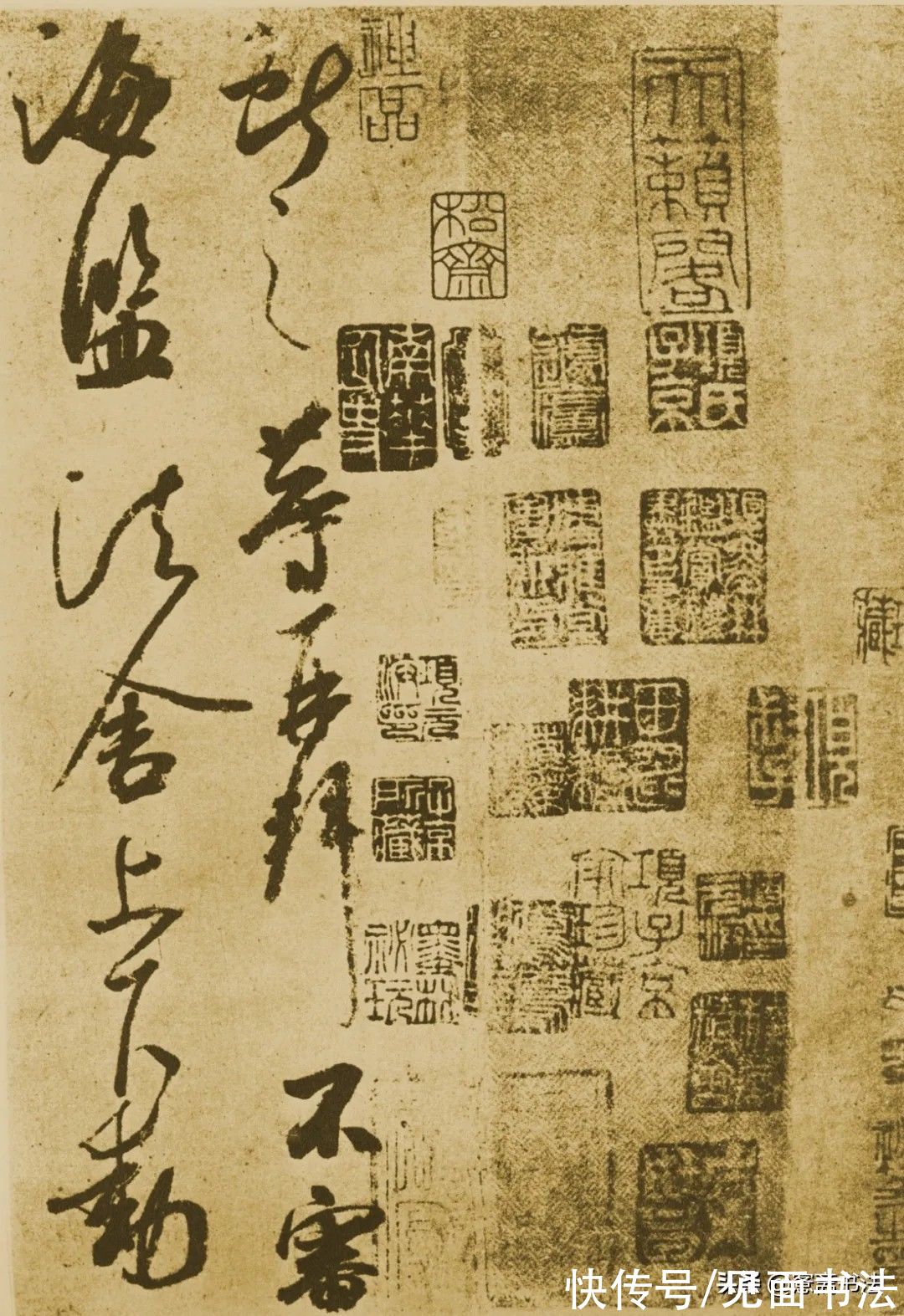 王献之！「愙斋书法」名家经典｜王献之《鹅群帖》