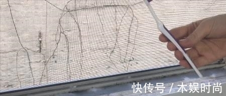 地板|教你最省心的年末大扫除方法,春节让房间焕然如新
