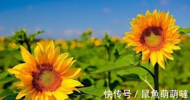 8月伊始，前任回首，爱意仍在，旧情重燃，执手相伴，生死与共