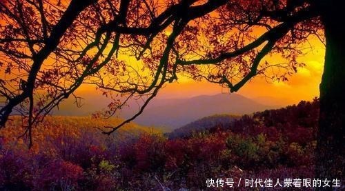 提升自己|人穷莫入众一个人越是穷,越要多说三句话,结交人脉,咸鱼翻身