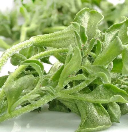 黄酮类化合物|人到中年想长寿，不妨多吃3种食物，排毒养颜、增强体质！