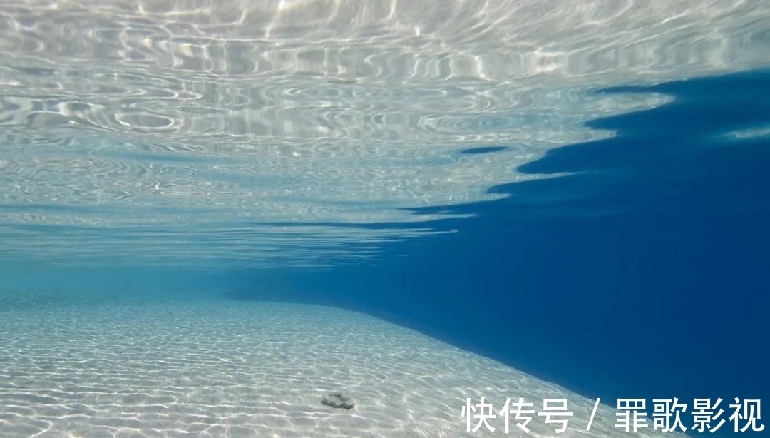 这9个地方都是鱼窝,大鱼都藏在这里,找到了就等着爆护吧!