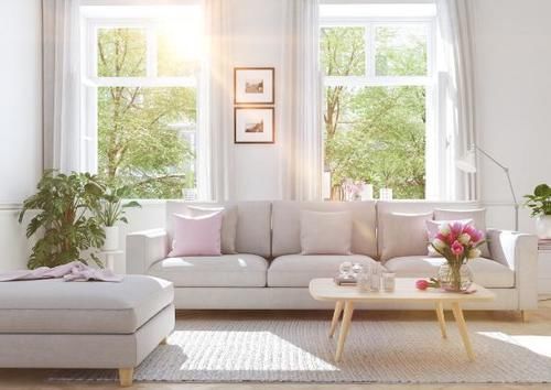 室内养花草总生虫怎么办?舍得做到“这点”,就不用搬出屋了