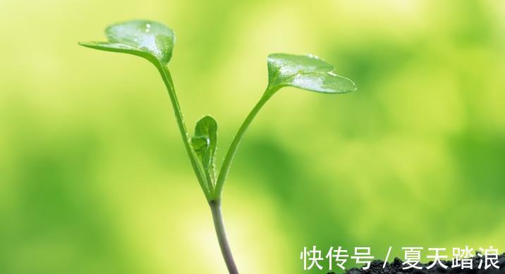 前途|7月中桃花财运同来，横财必得，前途无量，发达一整年的属相