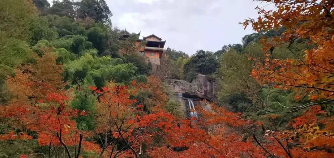 一叶知秋|秋天的天台山，开始变色了……