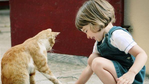 金钱观|身上有三个特质的孩子,即使成绩不是最好,但是长大后会很有出息