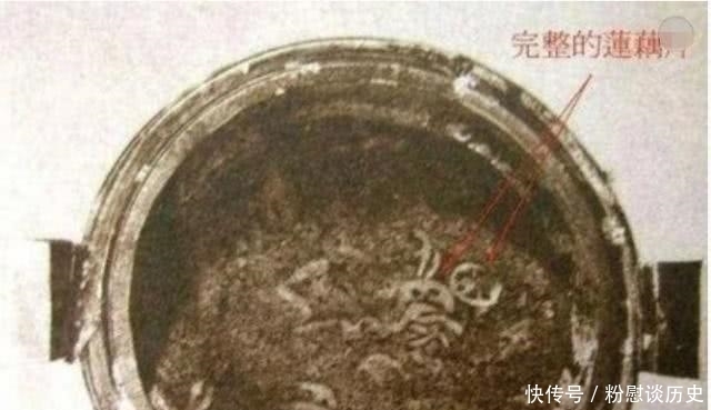 马王堆|马王堆一珍贵文物只出土了几十秒,便瞬间消失,专家:是我们的错