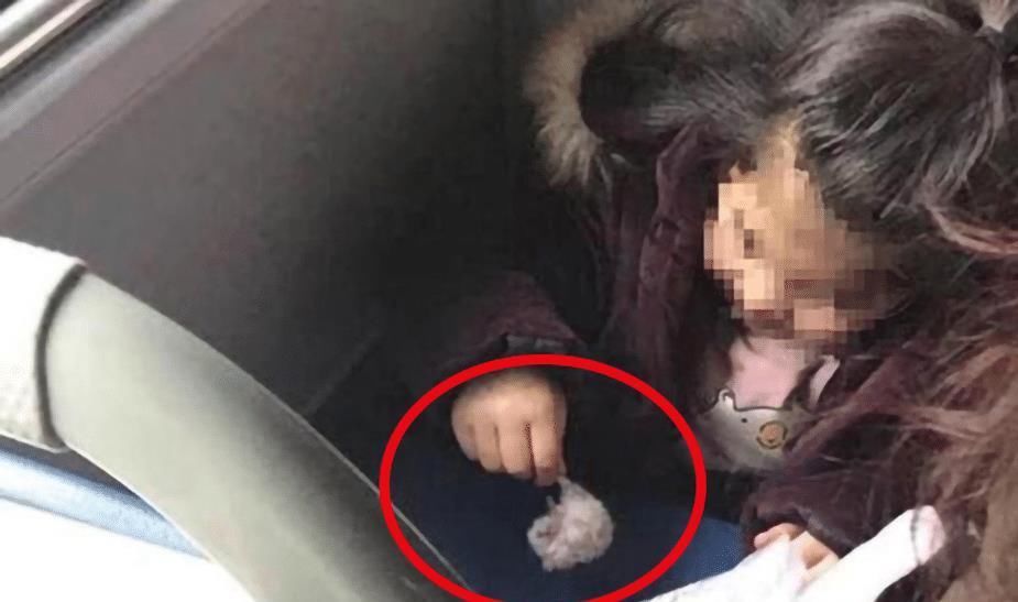 女童|5岁女童公交上“把玩”仓鼠,好心乘客劝告反被妈妈怼:要你管?